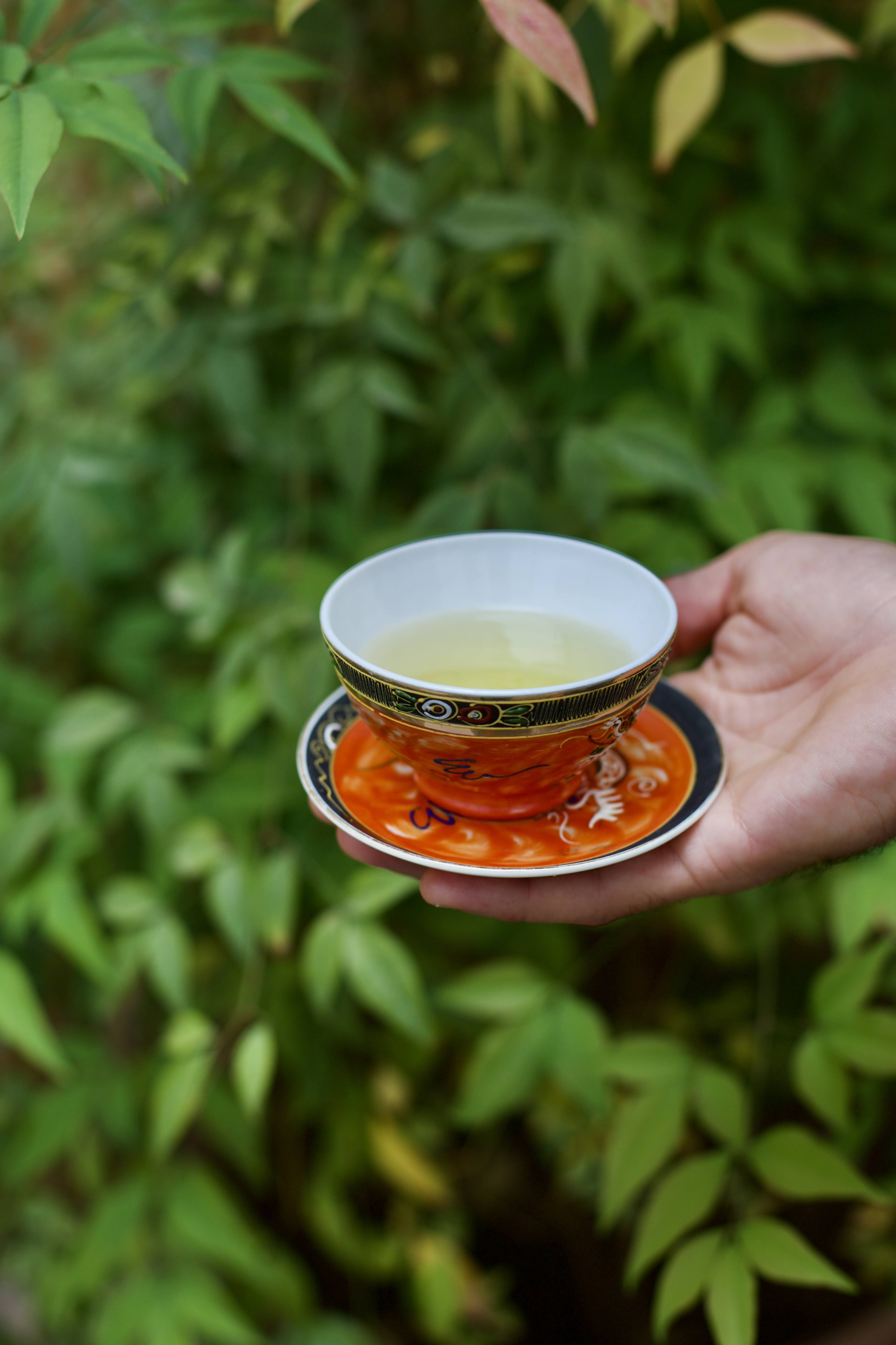 Tazza di tè decorata tra le foglie del giardino