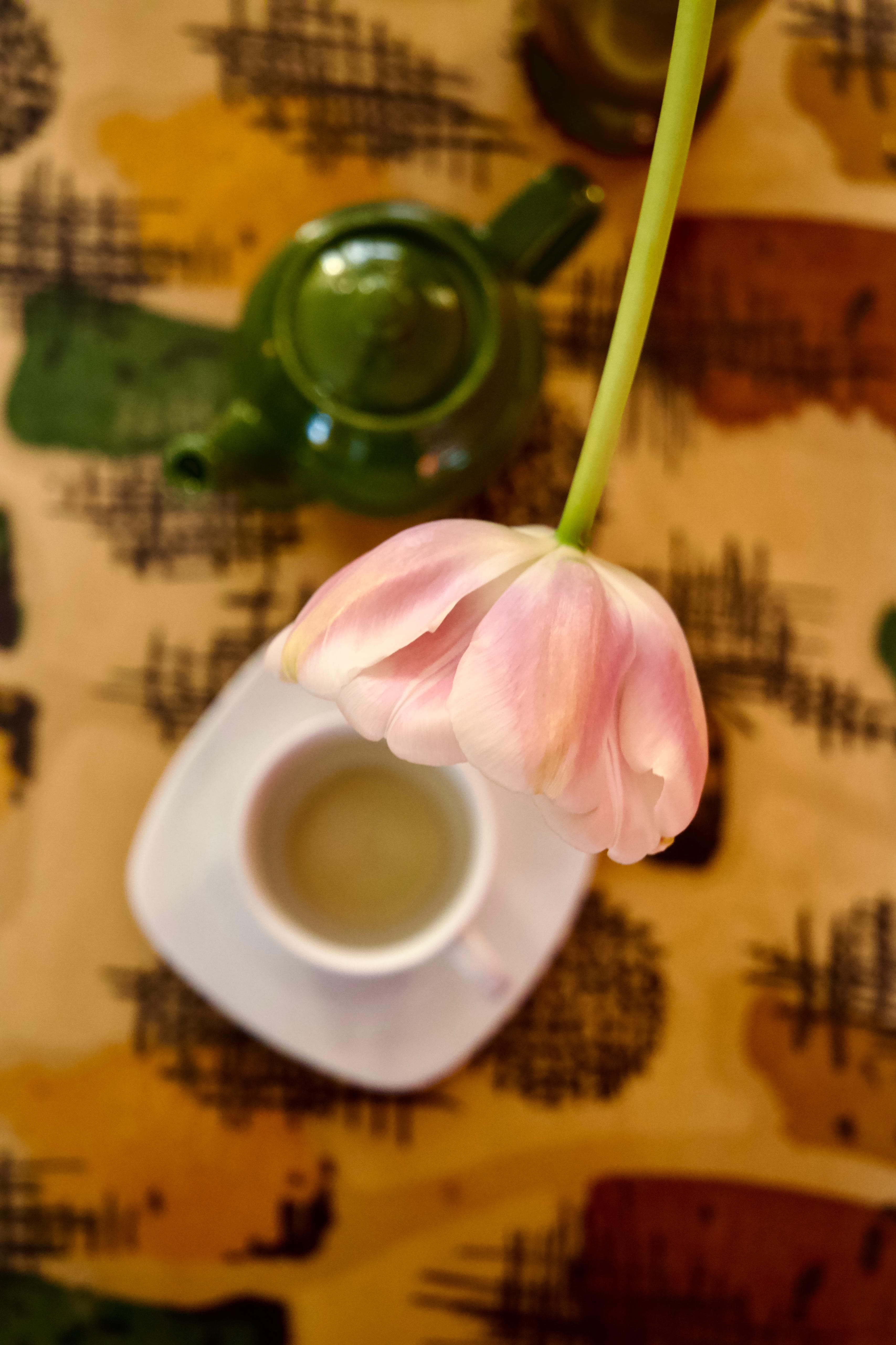Tulipano rosa sopra una tazza di tè con teiera verde
